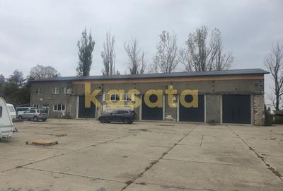 Hală industrială de vânzare - Stăncești - 13 km de Ploiești - 1