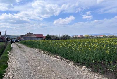 Spațiu comercial, în Bogata - 3