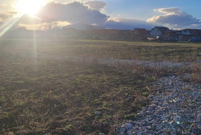 Teren Construcții intravilan de 605 mp, în Hălchiu - 4