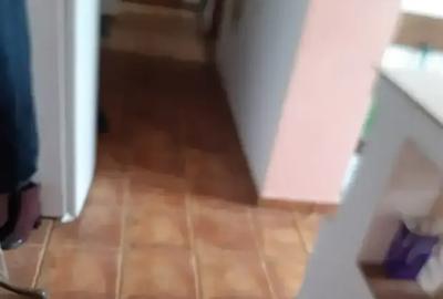 Apartament cu 4 camere semidecomandat în Rahova - 8