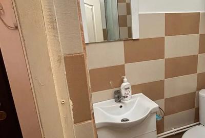 200 euro garsoniera Dancu - 3