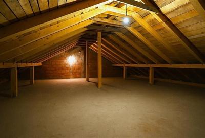 Casa noua pe parter,salon generos,terasa, pod mansardabil,teren 476mp,Sanpetru B - 22