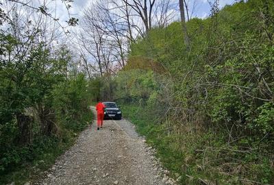 Teren superb, intravilan - la marginea padurii ! - 15