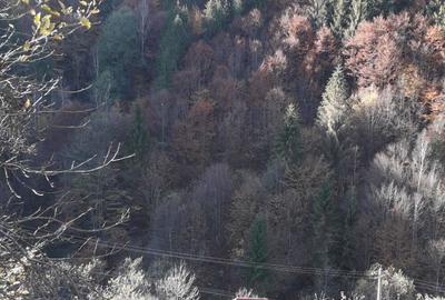 Cabana de vanzare in peisaj idilic intr-un sat de rasfirat de munte in Apuseni - 3