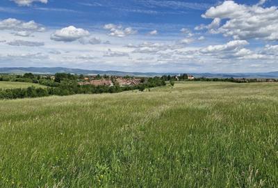 Teren de 14900 mp, în Crizbav - 4
