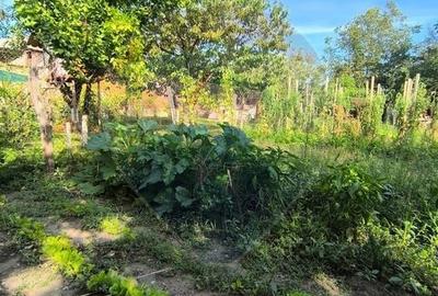 Casă individuală cu 3 camere cu Garaj în Ultracentral - 35