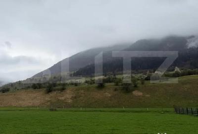 Teren în Plaiul Foii - 2