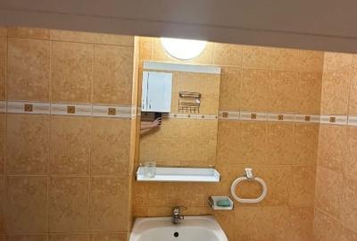 Apartament cu 2 camere semidecomandat, mobilat în Podu Roș - 6