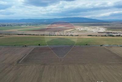 Teren de 27500 mp, în Tișița - 2