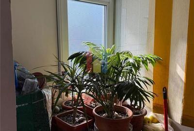 Apartament cu 2 camere decomandat în Obor - 10