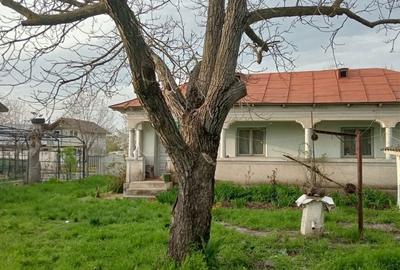 Casă cu 4 camere în Merișani - 3