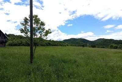 Teren agricol extravilan de 16000 mp, în Borlovenii Noi - 12