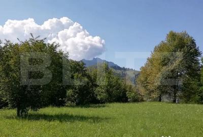 Teren de 2500 mp, în Ceahlău - 2