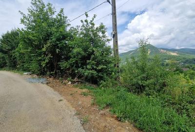 Teren de vanzare in Baia Sprie: 52 Ari, Parcelabil, Comision 0% - 5