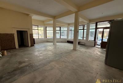 Spațiu comercial, de 232.55999755859 mp, în Central - 3