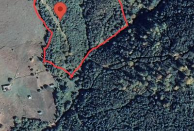 Vindem teren forestier 44165 mp Doabra - Bucovina - 2