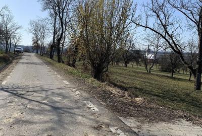 Spațiu comercial, în Șindrești - 3