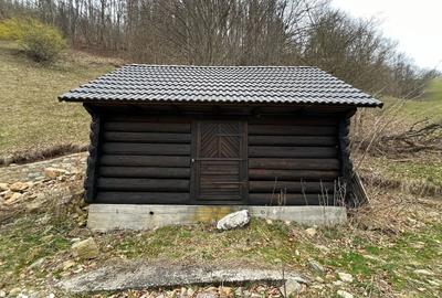 Teren de 12877 mp, în Bulz - 2