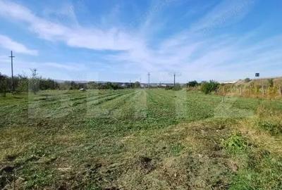 Teren extravilan, cu CF, 2963 mp, in Mihai Viteazu - 3