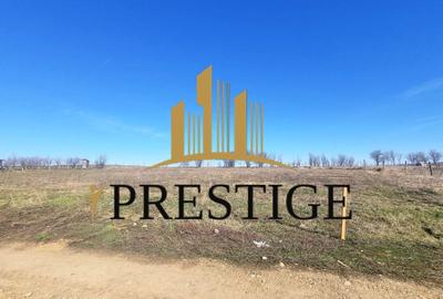 Teren agricol extravilan de 873 mp, în Șura Mică - 6