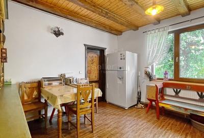 Complex de 3 case pe 18000 mp teren - 14