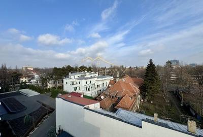 Resedinta de lux / * Kiseleff* - 55