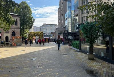 Spațiu de închiriat - Zona ultracentrală, Str. Doamna Bălașa, Pitești Spațiu de închiriat - Zona ultracentrală, Str. Doamna Bălașa, Pitești - 3