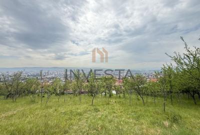 Teren Construcții intravilan de 1699 mp, în Dâmbul Rotund - 3