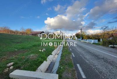 Teren de 11939 mp, în Bălănești - 7