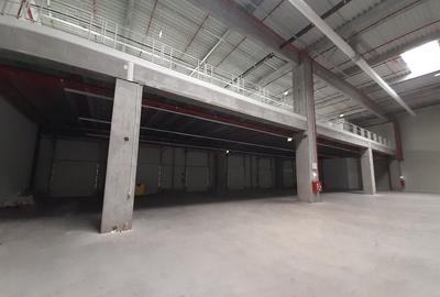 Bd. Th. Pallady - 1700mp - ISU - comision 0 - 3