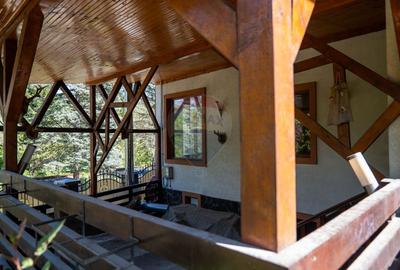 Oferta - vanzare pensiune 10 camere si casa de vacanta, Slanic Prahova - 26