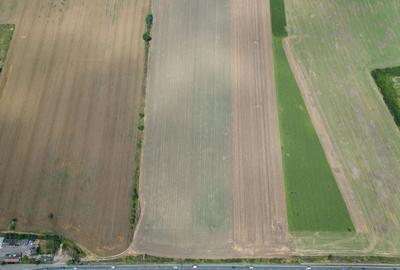 Teren extravilan 12.000 mp DN79 Arad-Oradea - 4