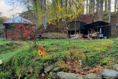 Casa de vacanta pe valea Avrigului - 4