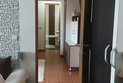 Apartament cu 2 camere decomandat în Hațeg - 7