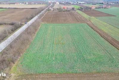 Teren de 6600 mp, în Botizului - 2