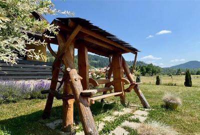 Refugiu pretios:jacuzzi, lemn masiv,2.000 mp teren,4 dormito - 12