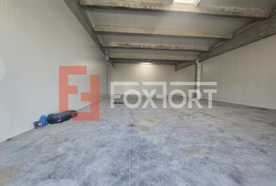 Spațiu industrial, 524 mp în Sânandrei