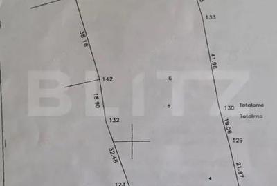 Teren de 9066 mp, în Central - 3