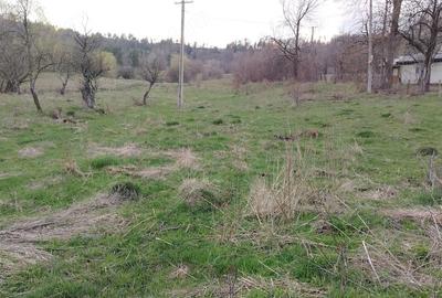 Teren de 4200 mp, în Bisoca - 2