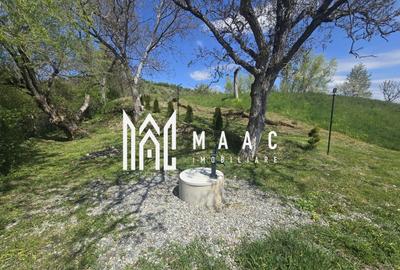 Teren agricol extravilan de 5400 mp, în Orlat - 3