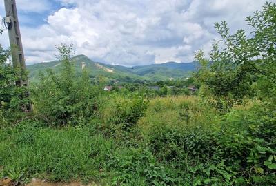 Teren de vanzare in Baia Sprie: 52 Ari, Parcelabil, Comision 0% - 4