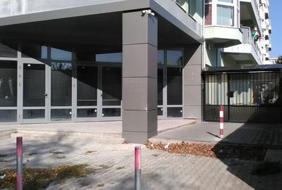 PROPRIETAR VAND SPATIU COMERCIAL - 3