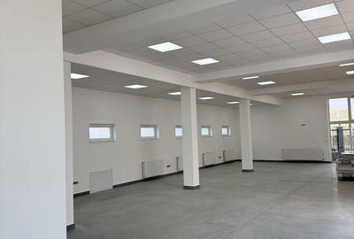 Spațiu comercial, de 500 mp, în Mureșeni - 4