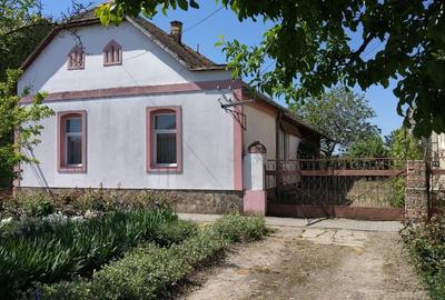 Casă individuală cu 5 camere cu Teren 5000 Mp în Comloșu Mic - 4