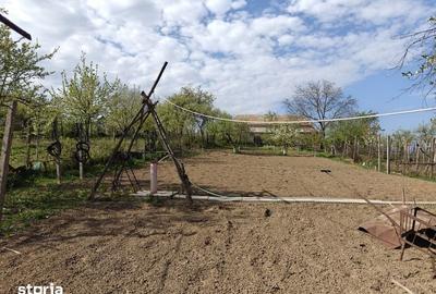 Casă cu 4 camere cu Teren 135 Mp în Faraoani - 2