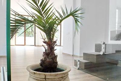 Spatiu birouri central Spatiu birouri central - 17