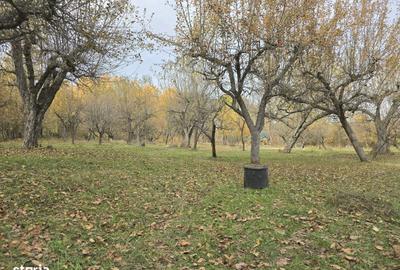 Casă cu 7 camere cu Teren 3800 Mp în Central - 1