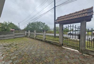 Vand urgent vila in Lugoj - 4