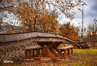 Casă cu 5 camere decomandat cu Teren 3570 Mp în Desești