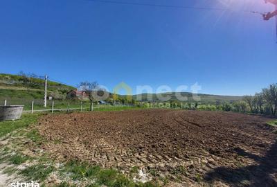 Teren de 2942 mp, în Jucu - 4